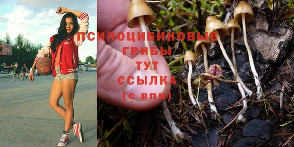 дживик Беломорск