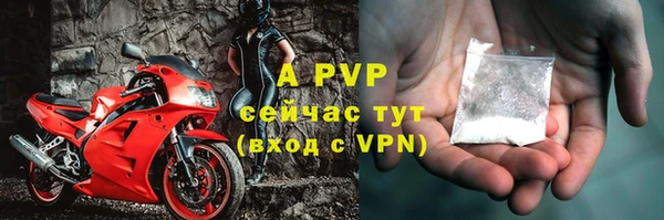 соль ск Белокуриха